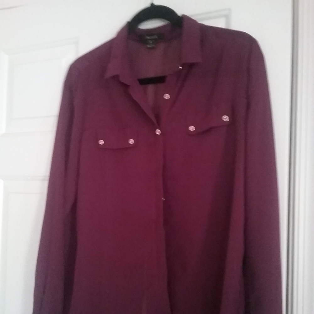 Ladies Sheer Button Down Blouse NWOT